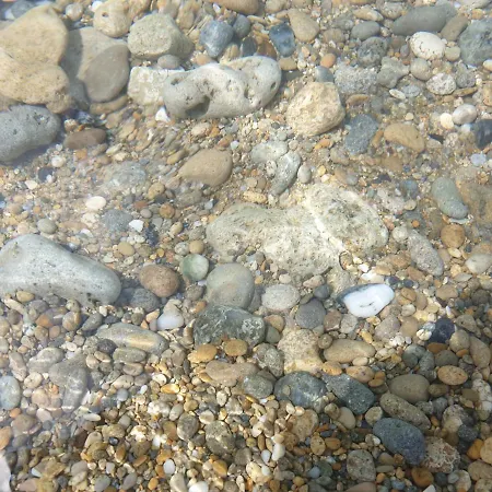 Bice In Villaggio Seleno Ovile la Marinella