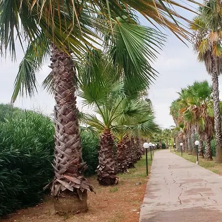 Bice In Villaggio Seleno Ovile la Marinella